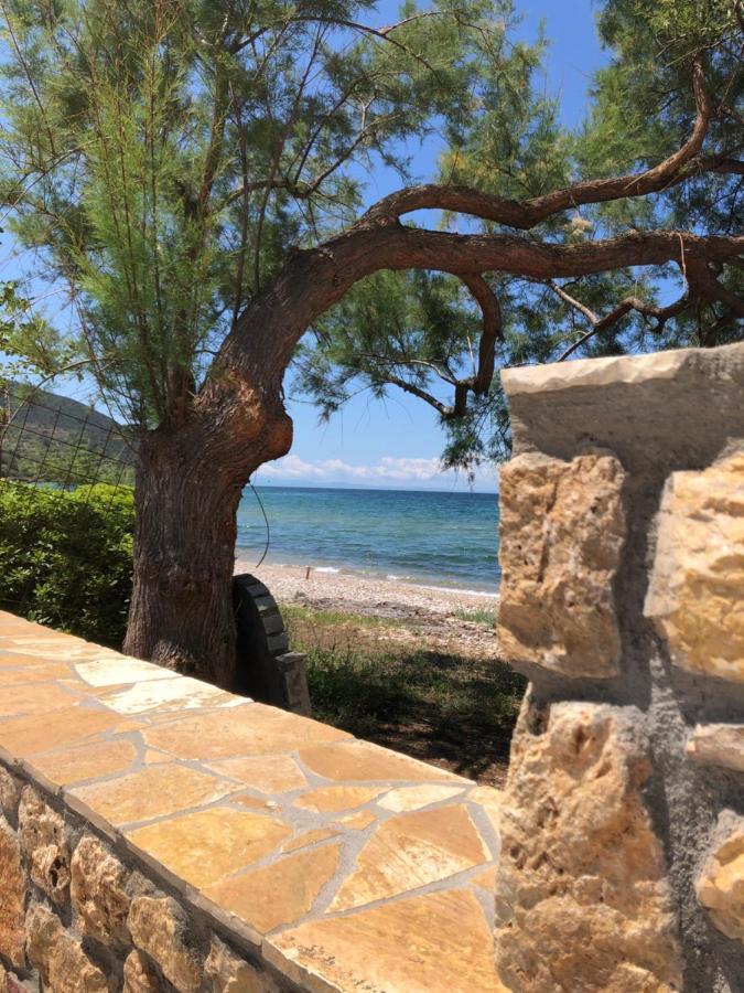 Akrogiali House Skala Kallirakhis Bagian luar foto