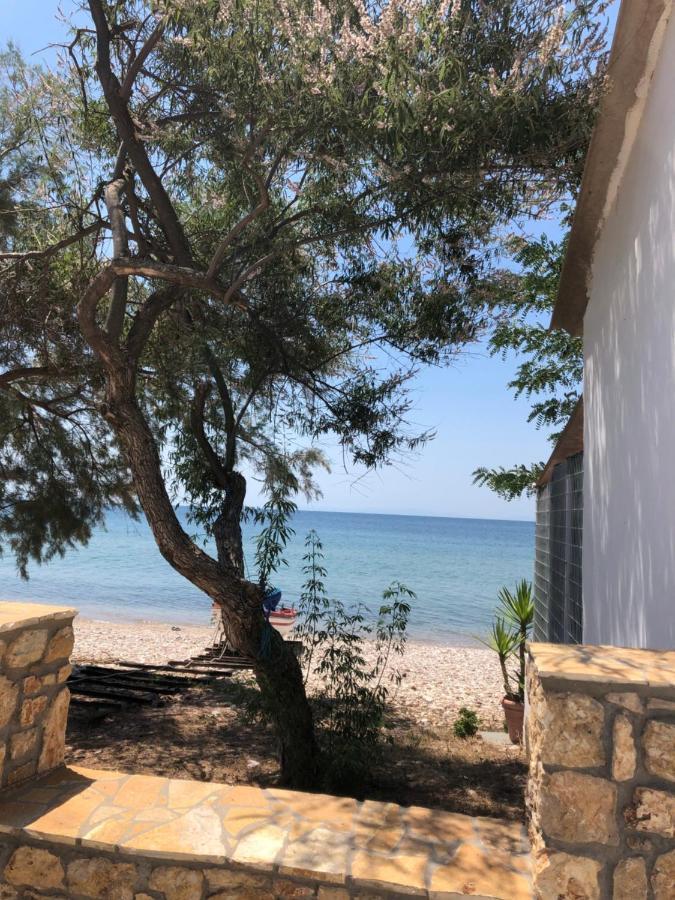 Akrogiali House Skala Kallirakhis Bagian luar foto