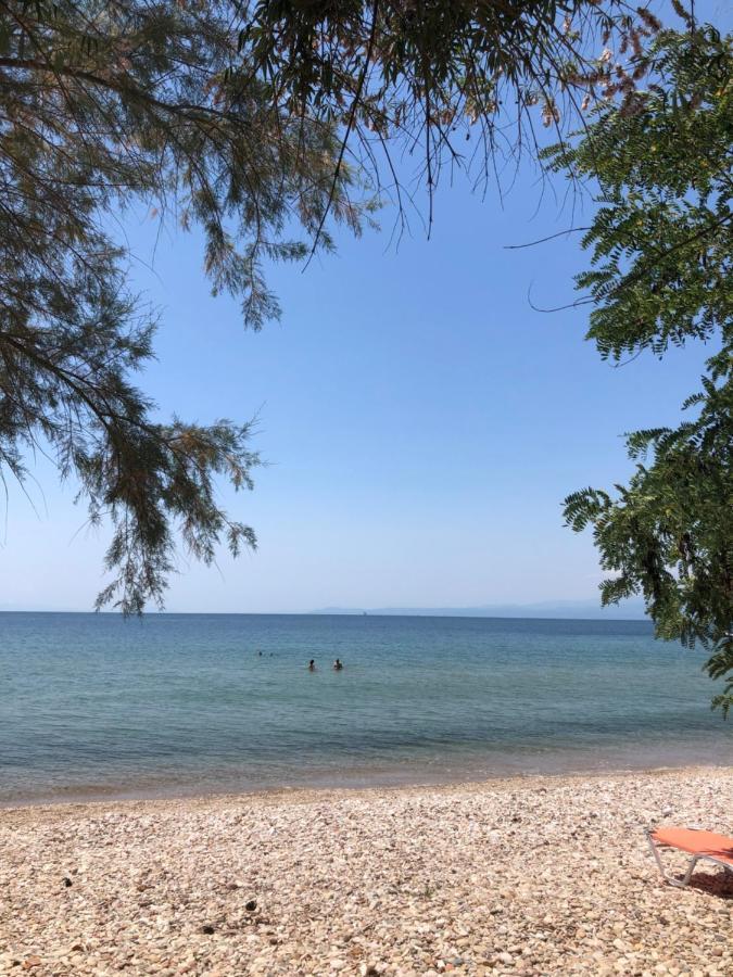 Akrogiali House Skala Kallirakhis Bagian luar foto