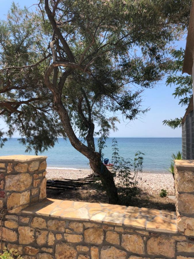 Akrogiali House Skala Kallirakhis Bagian luar foto